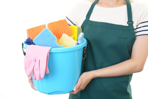Professional rug cleaning service in London