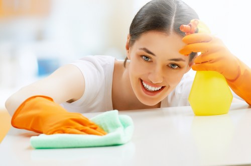 Eco-friendly carpet cleaning process
