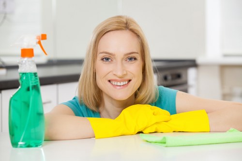 Deep carpet cleaning service in a London home