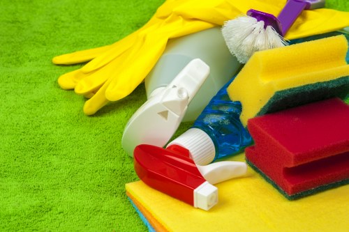 Detailed inspection of carpets by a professional